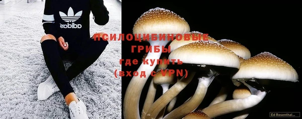 PSILOCYBIN Приозерск