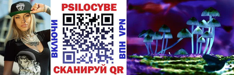Галлюциногенные грибы Psilocybe  купить наркотик  Обоянь 
